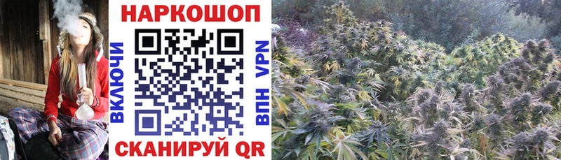 Псилоцибиновые грибы Менделеевск