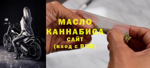 СК Алексин