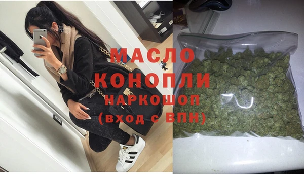 СК Алексин