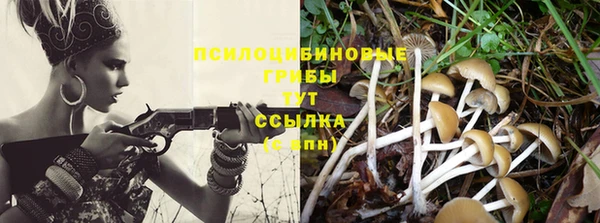 СК Алексин