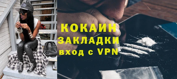 СК Алексин