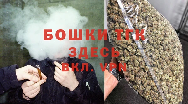 СК Алексин